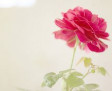 灵犀面相课堂:女人最容易离婚的面相特征