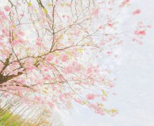 灵犀克夫相课堂:遇到克夫的女人教你如何破解