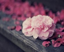 灵犀痣相课堂:长在鼻子左上方的克夫痣真的克夫吗