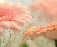 灵犀痣相课堂:女人克夫痣会把丈夫克死吗