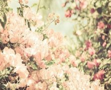 灵犀印堂课堂:悬针纹女人的面相迷信说法