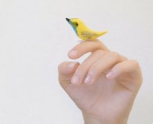 灵犀手相课堂:看手相究竟是左手还是右手准确