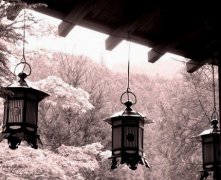 灵犀住宅风水:十大住宅风水化煞宝物