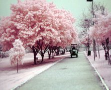 灵犀卧室风水:卧室风水和桃花运大全