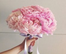 灵犀财运线课堂:女人手相算命图解