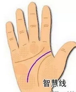 灵犀手相课堂:手相看你智商高吗