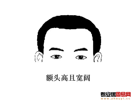 额头高且宽阔