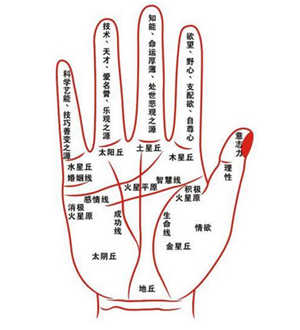 灵犀手相课堂:从手相分析你手纹的好坏