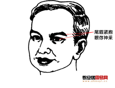 尾眉紧抱,眼存神采