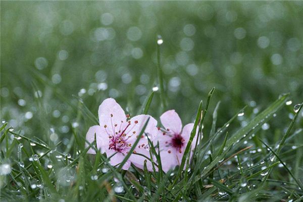 梦见雨停了