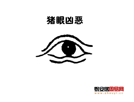猪眼<a href=/topics/101/ target=_blank class=infotextkey><a href=/topics/mianxiangtu/ target=_blank class=infotextkey>面相图</a></a>解