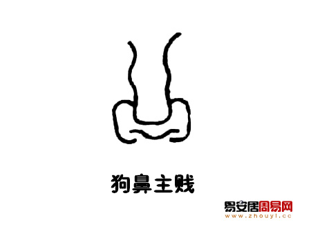 狗鼻<a href=/topics/101/ target=_blank class=infotextkey><a href=/topics/mianxiangtu/ target=_blank class=infotextkey>面相图</a></a>解