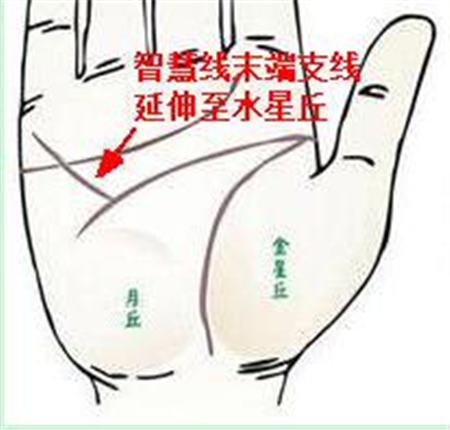 灵犀手相课堂:哪些手相的人擅于经商？