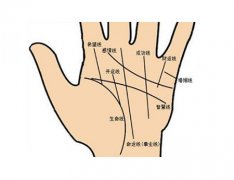 灵犀手相课堂:看手相的基本知识