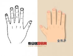 灵犀周易手相课堂:手相的五行属性图解