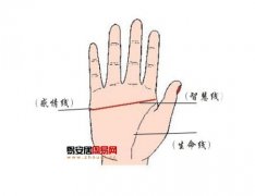灵犀断掌课堂:假断掌和真断掌怎么辨别
