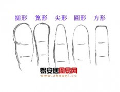 灵犀手指算命课堂:从手指形状和大小看人的性格