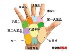 灵犀周易手相课堂:手相图解掌丘看你的性格