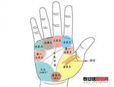 灵犀掌纹图解课堂:掌纹中的册纹讲解