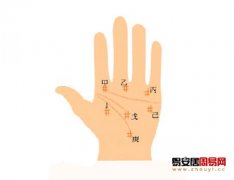 灵犀掌纹图解课堂:掌纹中的井纹讲解
