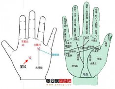 灵犀掌纹图解课堂:掌纹中的星纹讲解