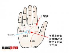 灵犀掌纹图解课堂:掌纹中的十字纹讲解