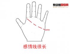 灵犀感情线课堂:感情线长短有什么意义