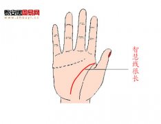 灵犀智慧线课堂:智慧线长短有什么意义