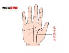 灵犀生命线课堂:生命线长短有什么意义