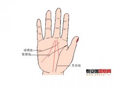 灵犀事业线课堂:手相中的事业线算命图解