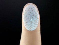 灵犀手指算命课堂:不同指纹组合的性格和命运