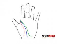 灵犀生命线课堂:手相中的生命线算命图解