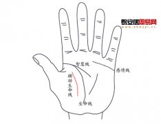 灵犀生命线课堂:两条生命线的手相图解