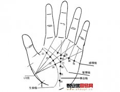 灵犀掌纹图解课堂:手相流年运势算命图解