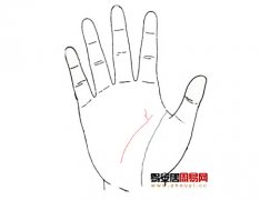 灵犀智慧线课堂:手相智慧线分叉的算命图解