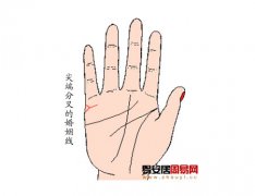 灵犀婚姻线课堂:手相婚姻线分叉算命图解