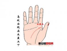 灵犀智慧线课堂:手相智慧线有岛纹算命图解