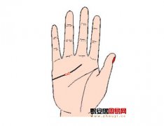 灵犀感情线课堂:手相感情线上有岛纹算命图解