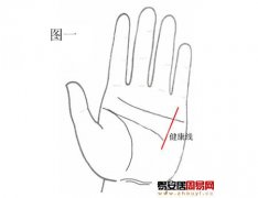 灵犀掌纹图解课堂:手相健康线算命图解