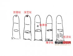 灵犀手指算命课堂:从小指纹路看出你的命运
