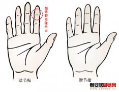 灵犀手指算命课堂:从手指指节的突出与平滑看你的性格