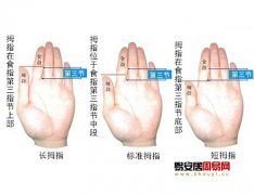 灵犀手指算命课堂:从拇指长度看一个人性格