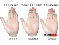 灵犀手指算命课堂:从无名指长度看一个人性格