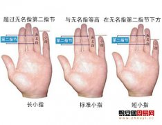 灵犀手指算命课堂:从小指长度看一个人性格