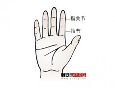灵犀手指算命课堂:手的指关节和指节看相图解