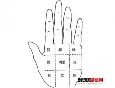 灵犀周易手相课堂:手相掌中九宫讲解
