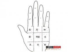 灵犀周易手相课堂:手相掌宫痣看吉凶