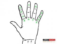 灵犀周易手相课堂:十二地支手上掌诀图