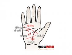 灵犀掌纹图解课堂:手相障碍线算命图解