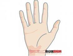 灵犀掌纹图解课堂:手相手腕线算命图解